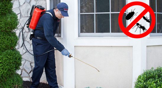 Bekilli Haşere İlaçlama böcek ilaçlama ve haşere kontrolü — ilaclama-tr.com